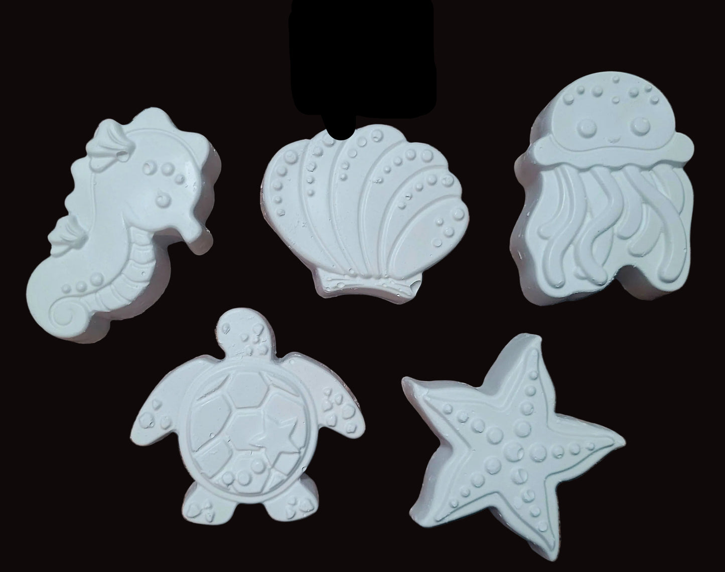 Sea animal turtle sea shell starfish octopus plaster painting Sea horse seashell