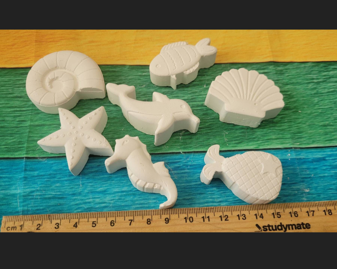 Plaster painting  Sea horse star fish shell fish dophin fish sea animals Plaster Painting Party favour Ocean animal