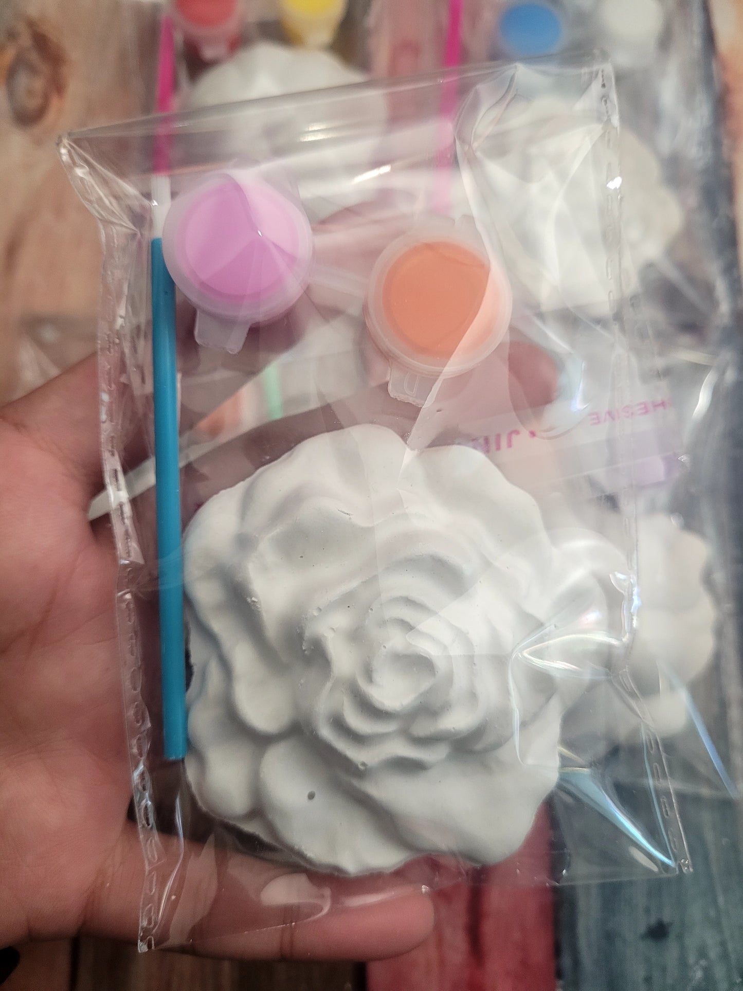 Flower garden Plaster Painting party favor