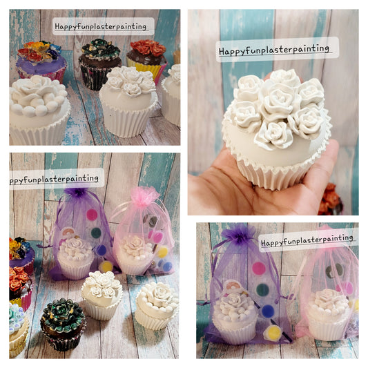 3D Cupcake food Plaster Painting Party favour